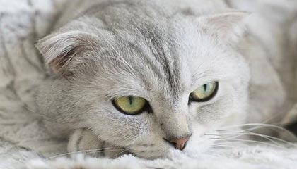 邵东伴游，定制QQ：3494206190微信：act1322